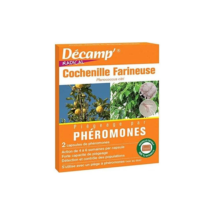 Phéromone Cochenille farineuse x2